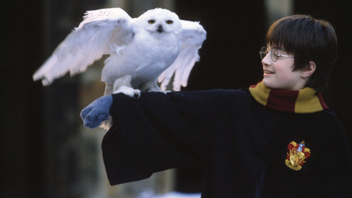 Harry Potter and the Sorcerer’s Stone was a great book-to-movie adaptation.