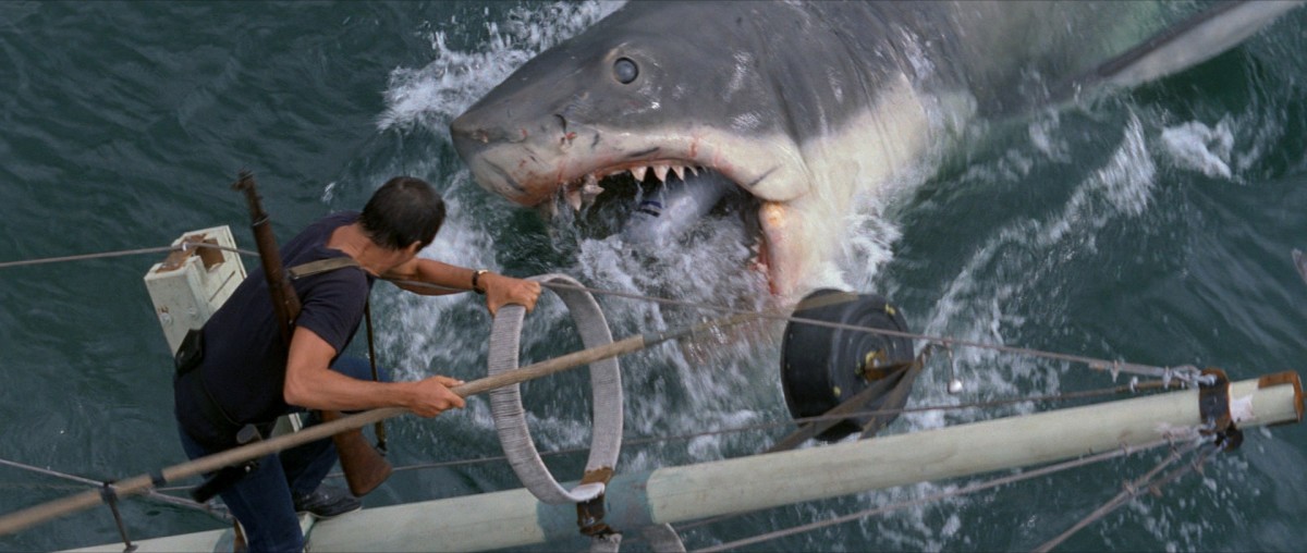 Jaws: The Revenge Where to Watch and Stream Online
