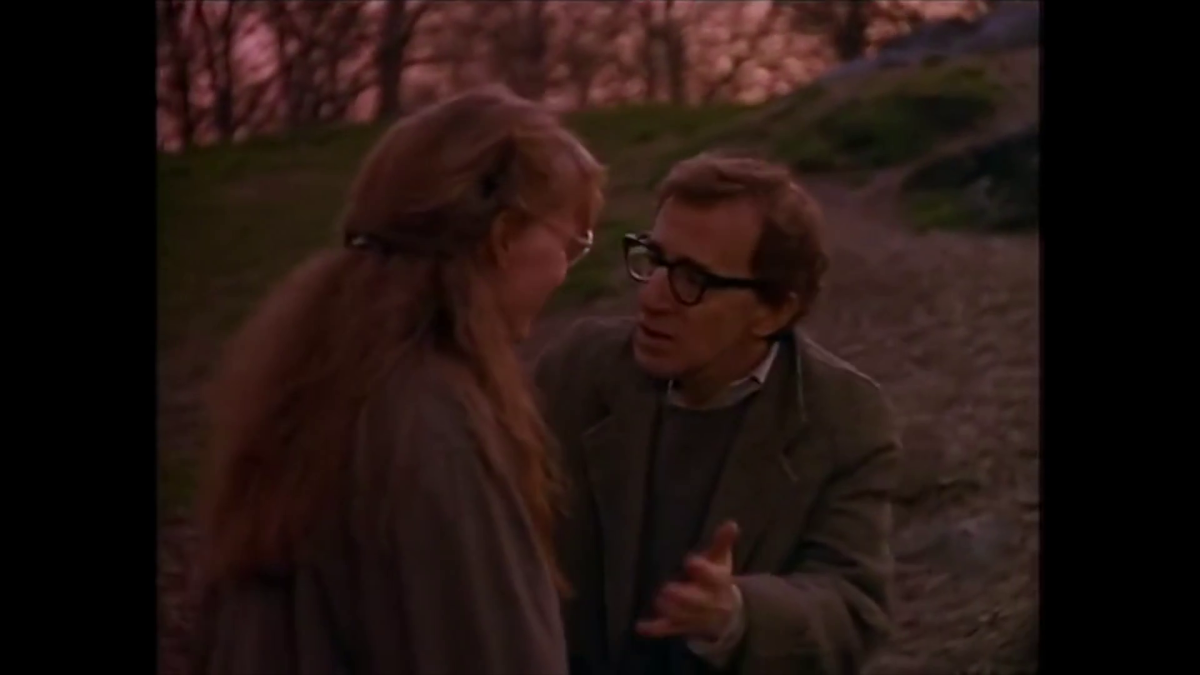 'Crimes and Misdemeanors' Review ReelRundown