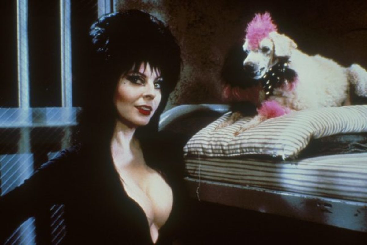 elvira-mistress-of-the-dark-1988-film-review