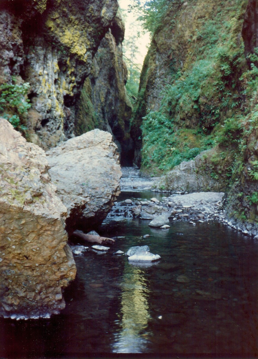 Oneonta Gorge 