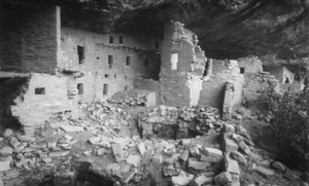 Spruce Tree House as found; prior to excavation and restoration. 