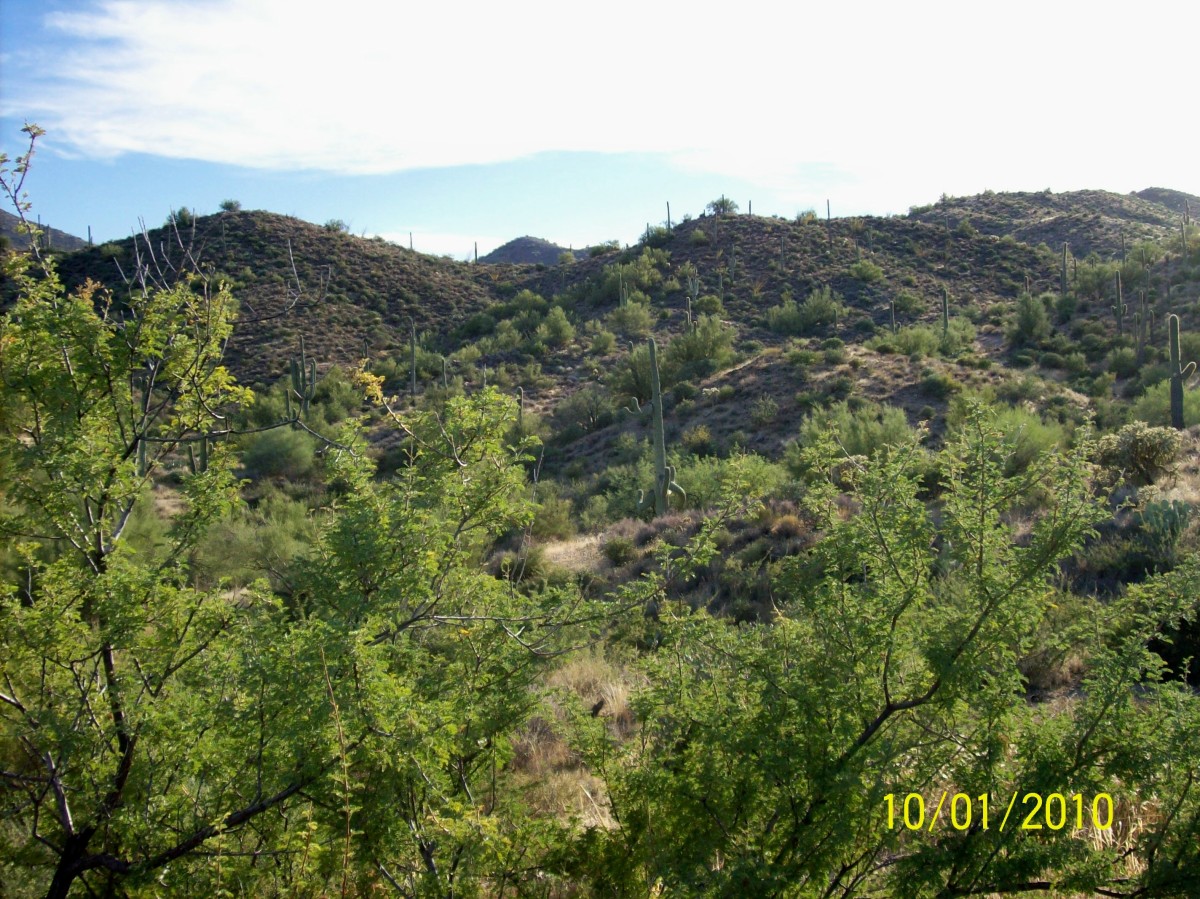 Rugged hills near Gonzales Pass