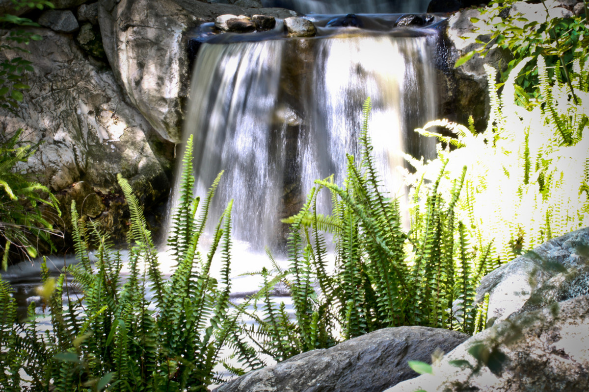 A small waterfall at Descanso Gardens