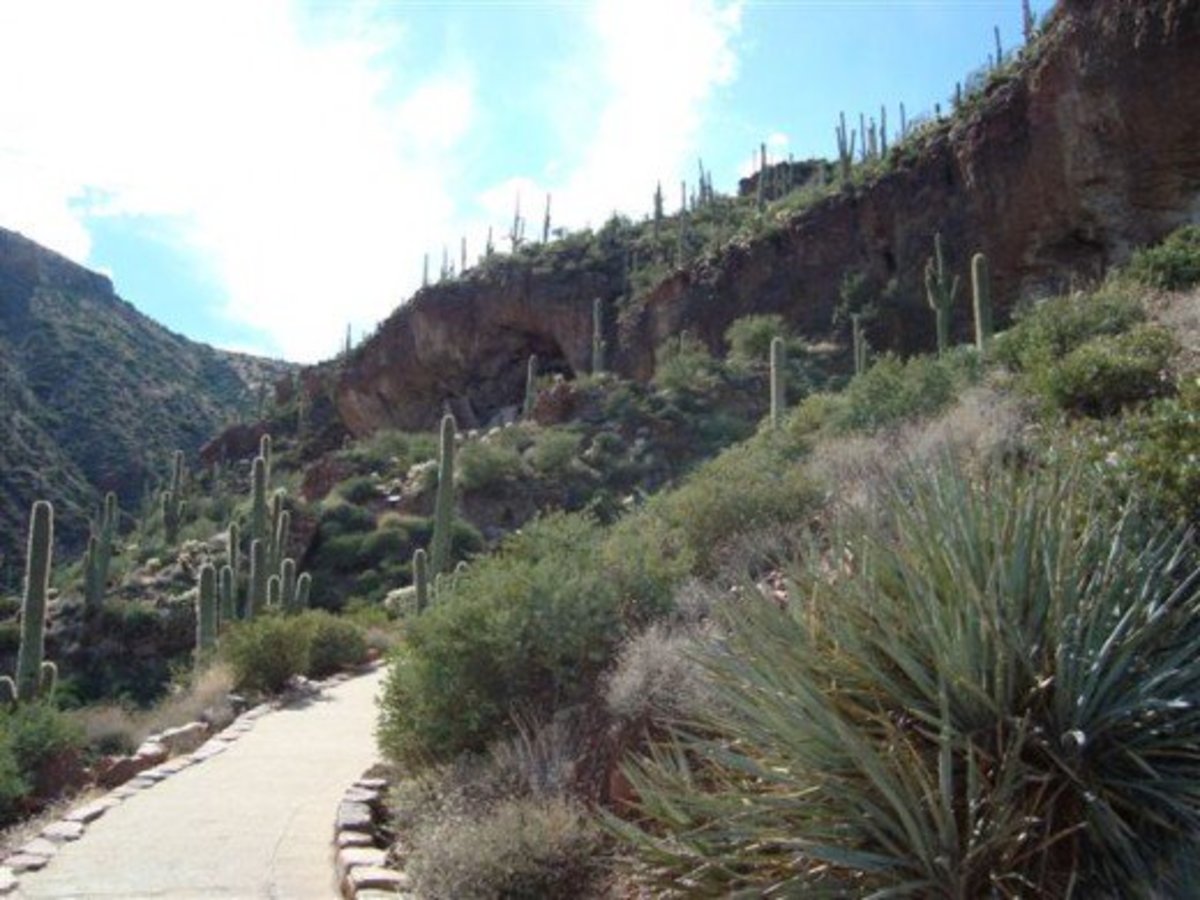 At the top of the hill to the right of the clouds is a second cliff dwelling. It must be hiked to, but appointments can be made to go up with a ranger.