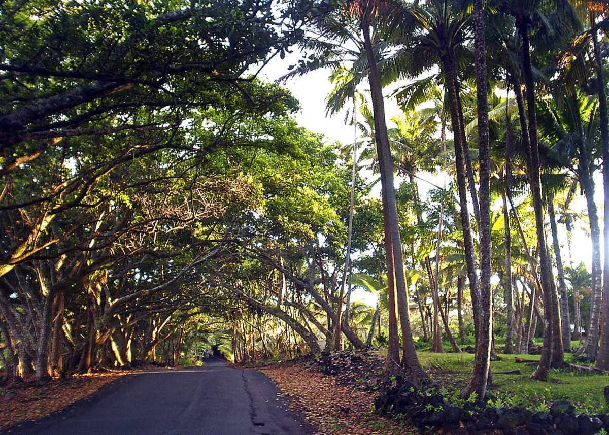 hidden-hawaii-wild-and-scenic-puna-coast-on-the-big-island