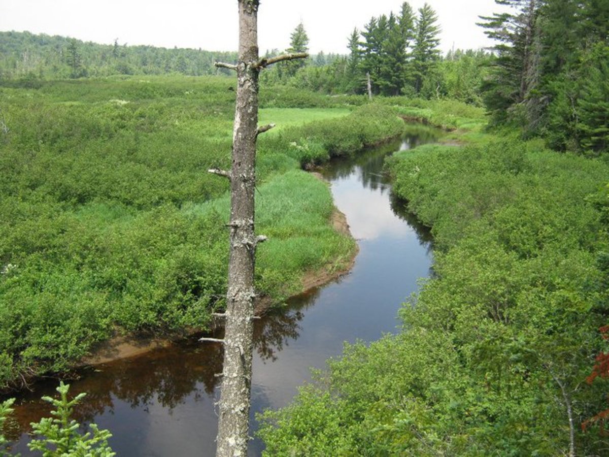 The Oswegatchie River from High Rock.  