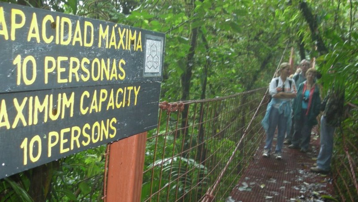 Suspension Bridge in The Rain Forest, Costa Rica