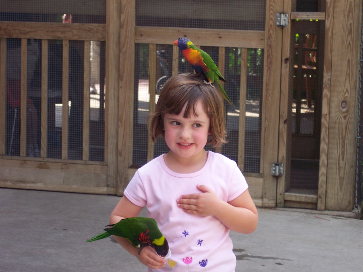 All about Columbia's RIverbank Zoo in South Carolina.