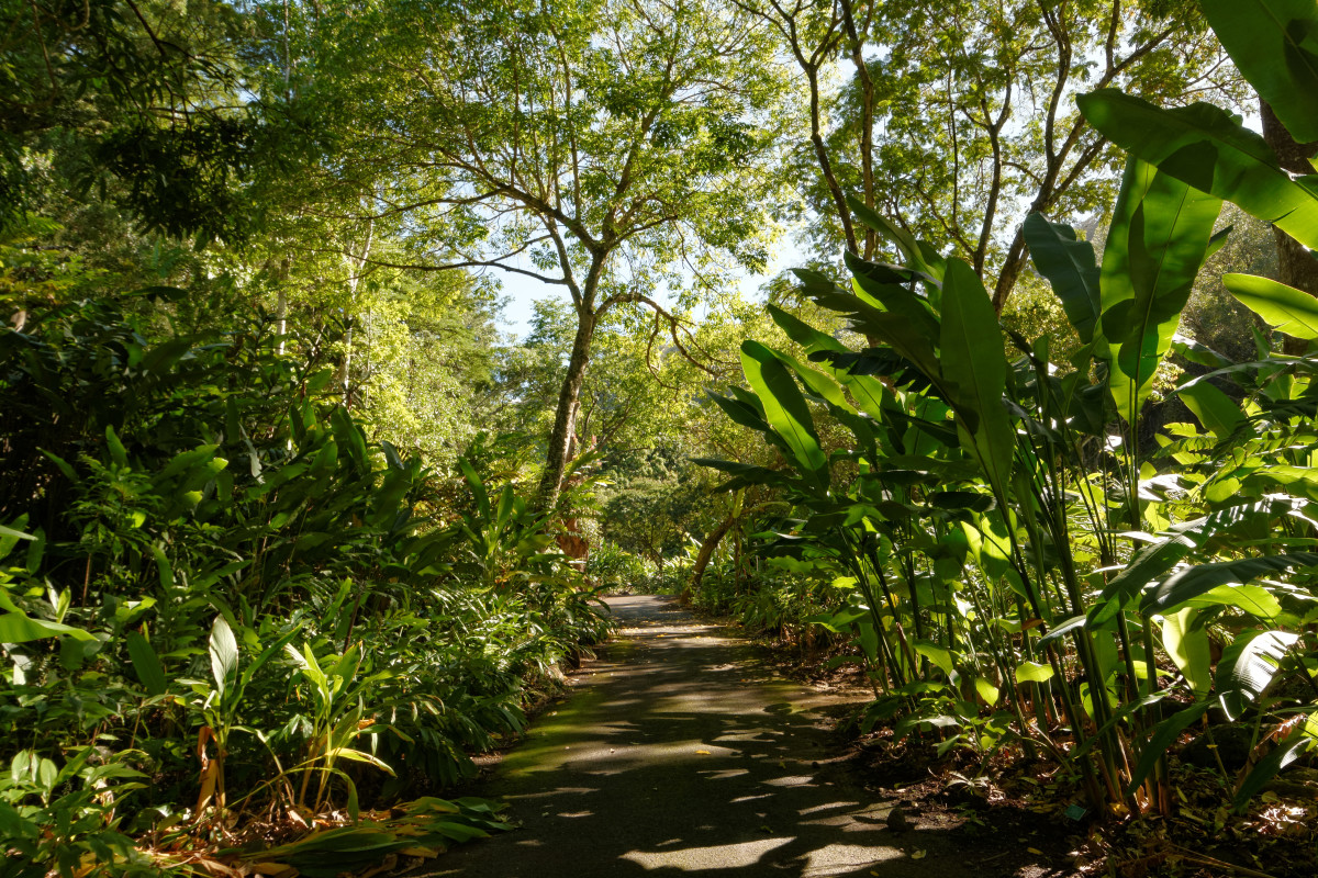 10 Must-See Places on O'ahu's North Shore - WanderWisdom