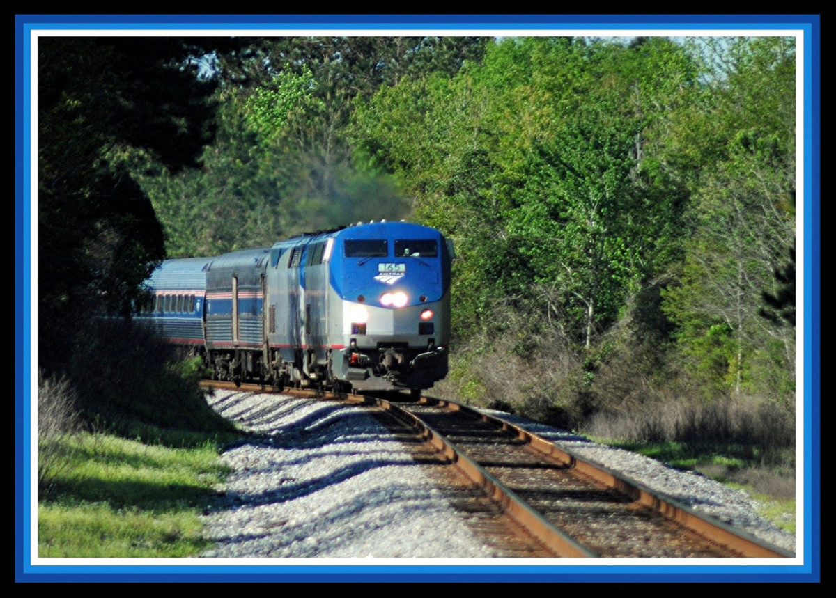 Types of Amtrak Trains WanderWisdom