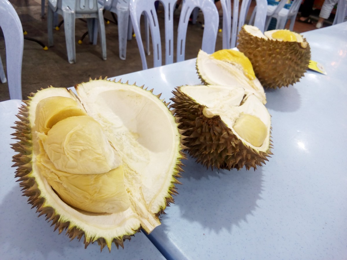 The most sought-after Musang King durian, highest in price, all flesh and small seed in the middle.