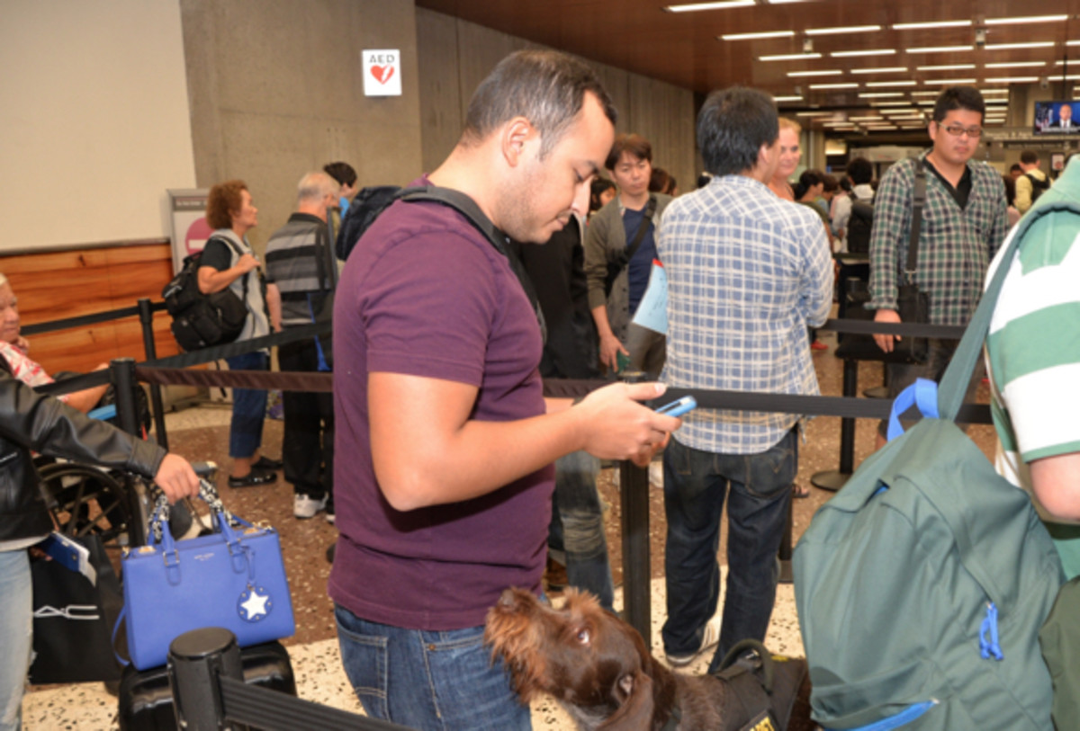 tips-for-flying-in-the-us-with-a-service-dog