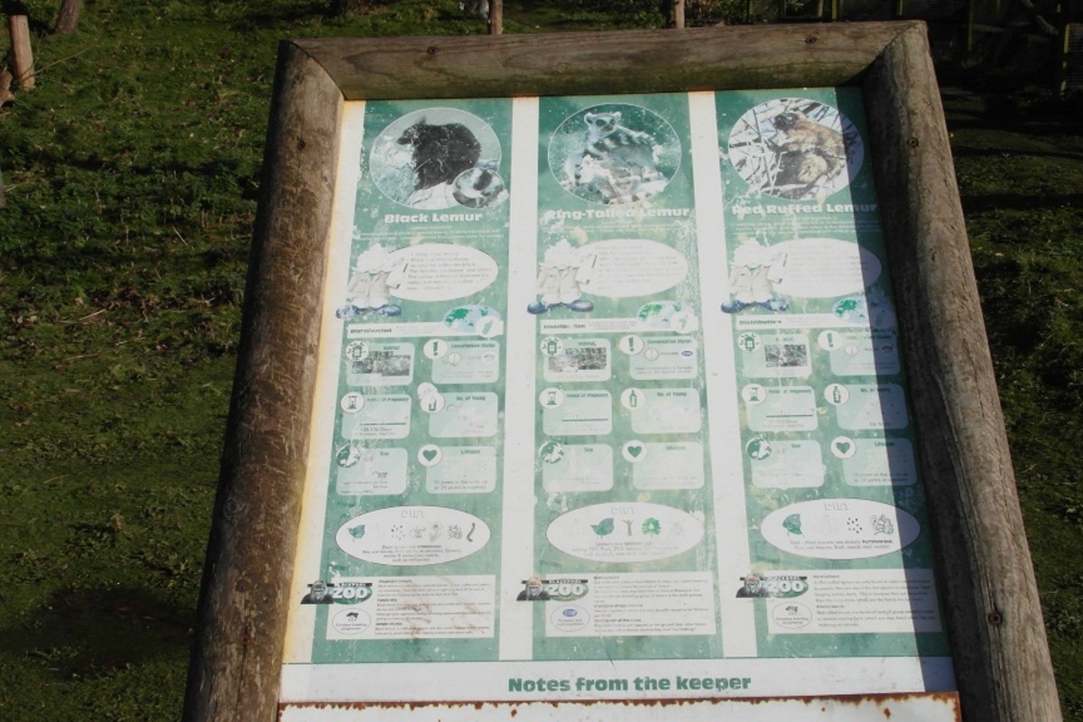 Badly Worn Information Board at Blackpool Zoo