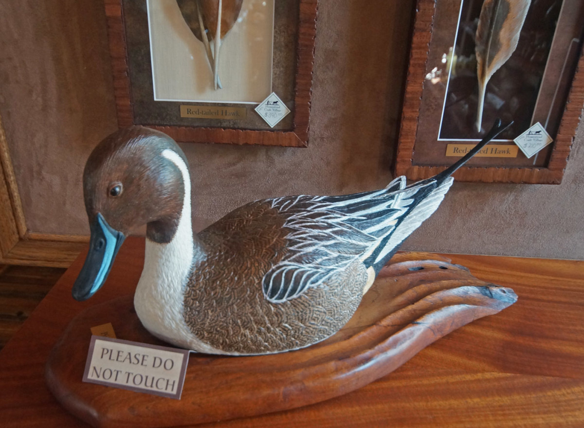An intricately carved and painted Pintail duck
