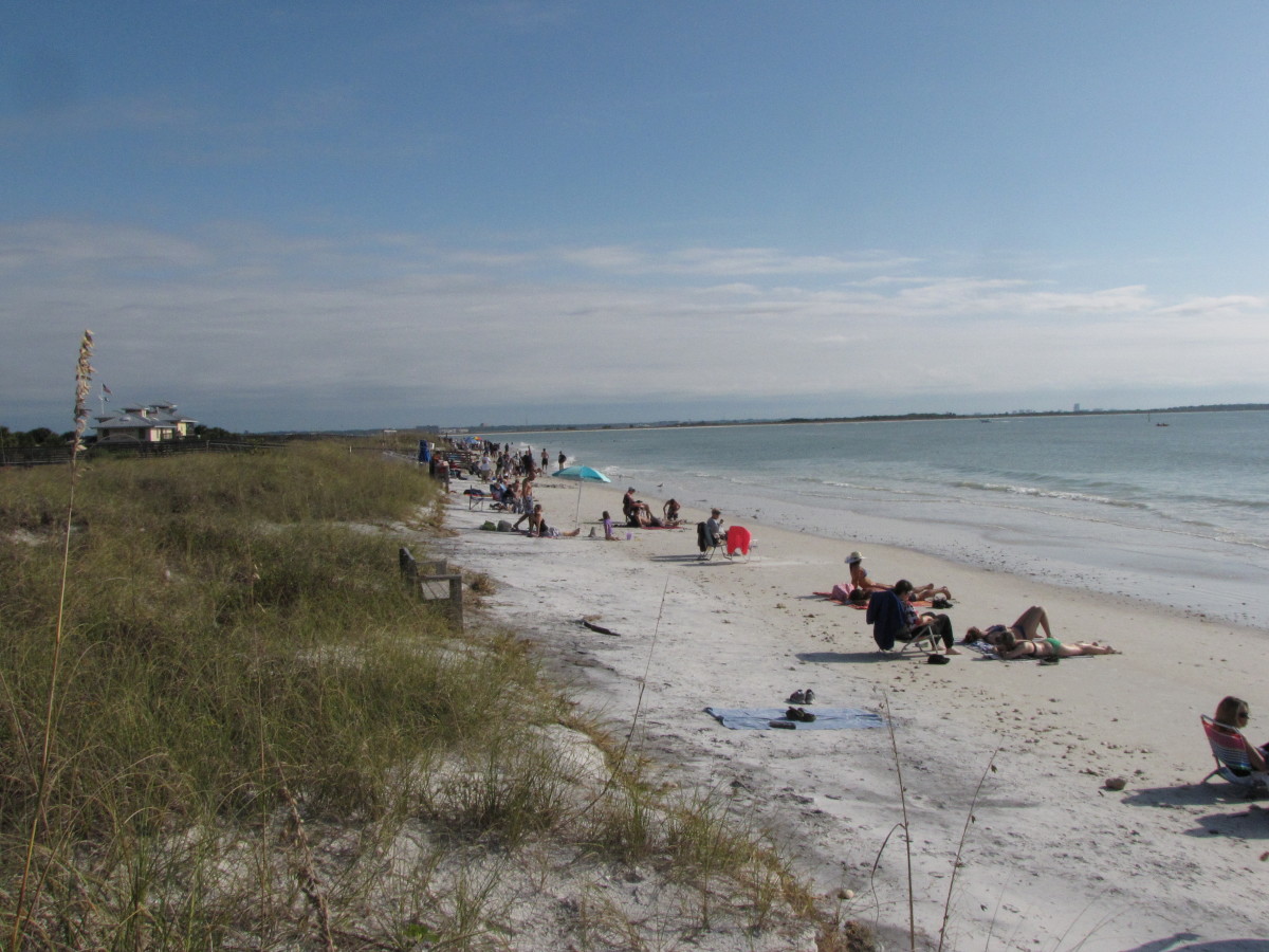 Honeymoon Island State Park: Dunedin, Florida - WanderWisdom