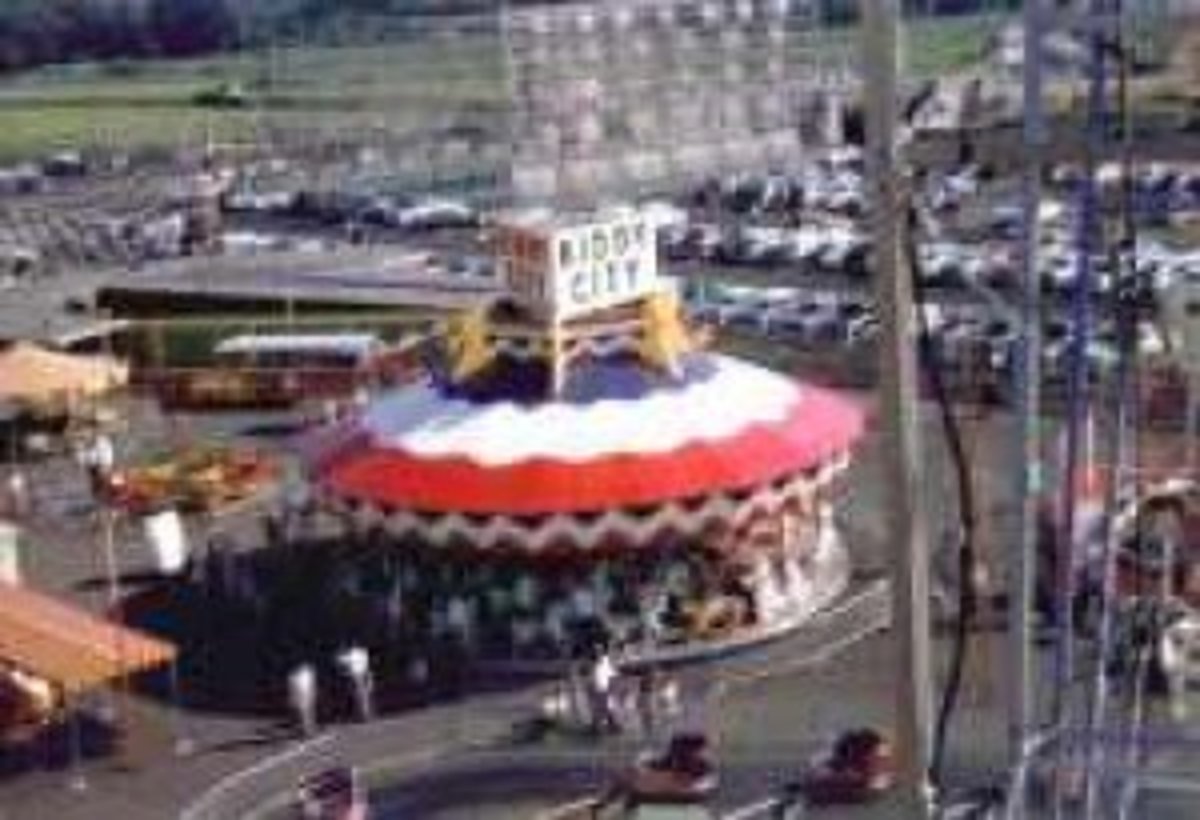 There Was Once an Amusement Park Here New York City's Lost '50sEra Amusement Parks WanderWisdom