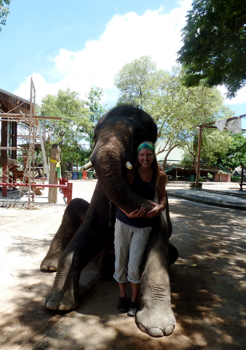 Take a trip to the last remaining Elephant Kraal in Ayutthaya, the ancient capital of Thailand. 