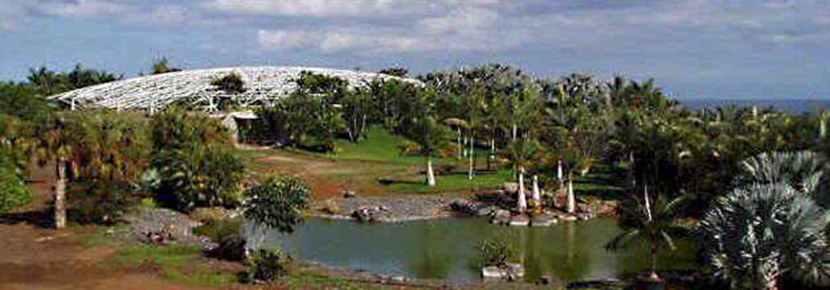 Overview of the Palmetum - the botanical garden which was once a dump