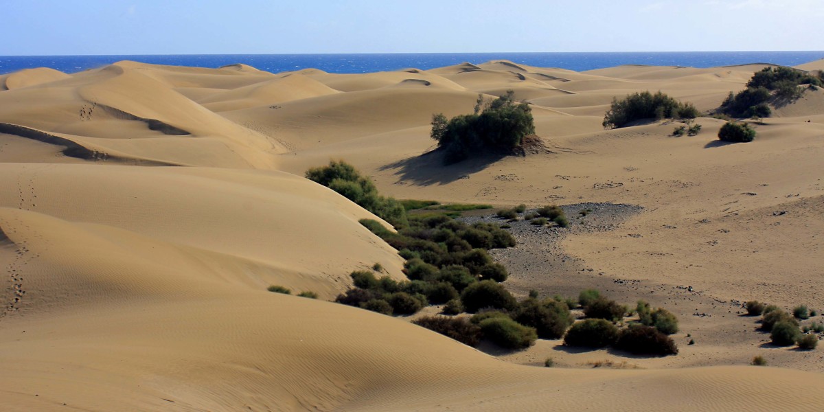 Gran Canaria The Maspalomas Dunes photo photo