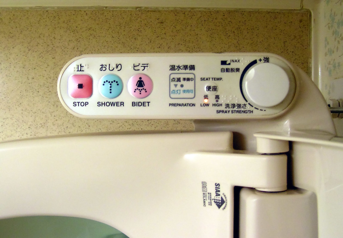 Close up View of a Japanese Toilet's Arm Rest