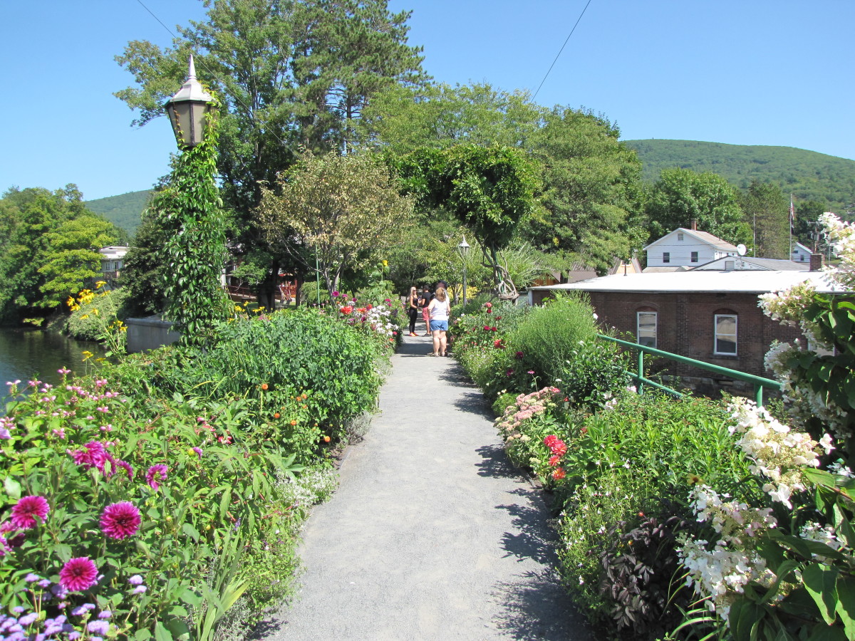 Looking toward Shelburne