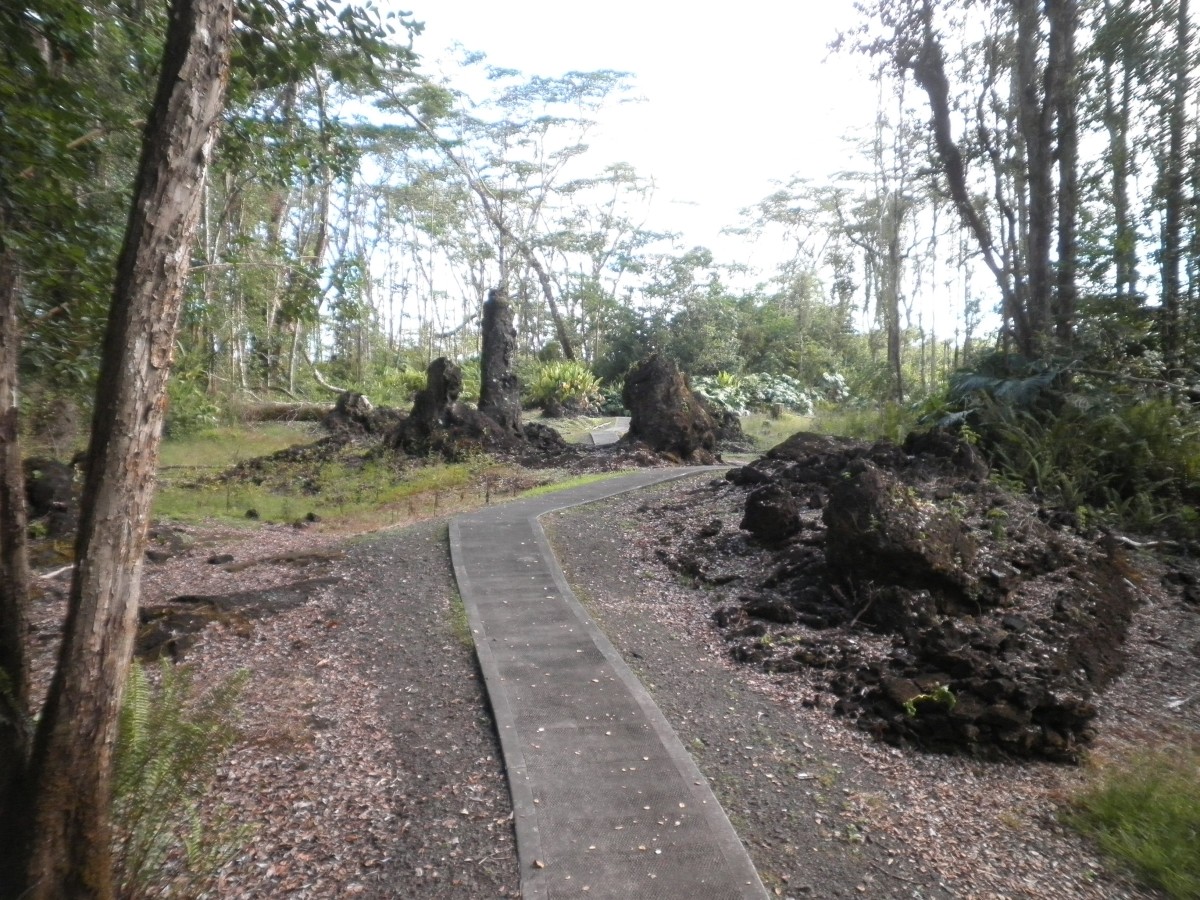Lava Tree State Monument