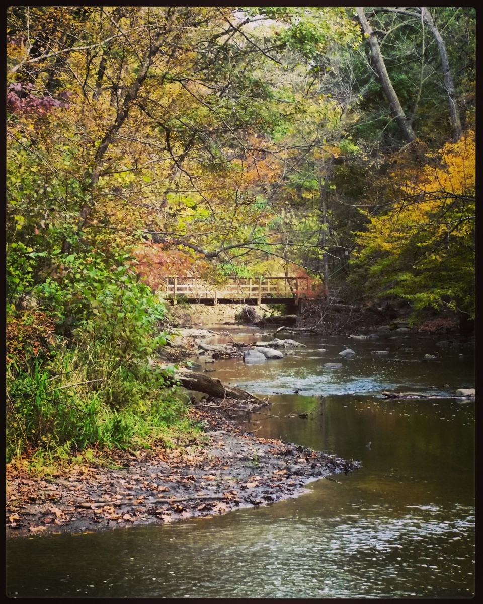 Minneopa State Park: Southern Minnesota's Hidden Gem - WanderWisdom