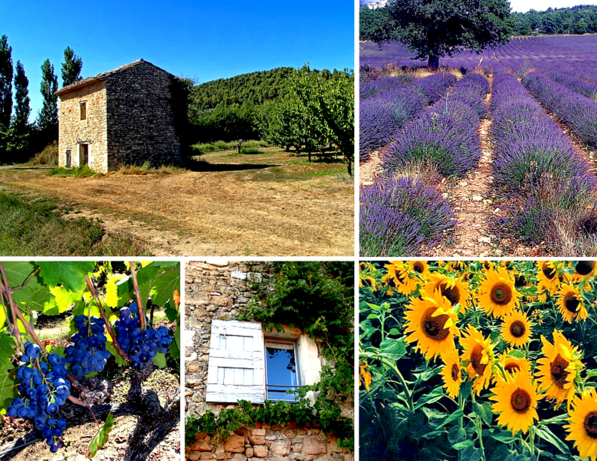 Clockwise from top left: stone farmhouse; lavender field; bright sunflowers; room with a view; black grapes at Domaine de Marie winery.