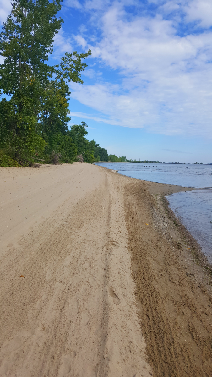 East Harbor State Park Trail Map A Visitor's Guide To East Harbor State Park In Northwest Ohio - Wanderwisdom