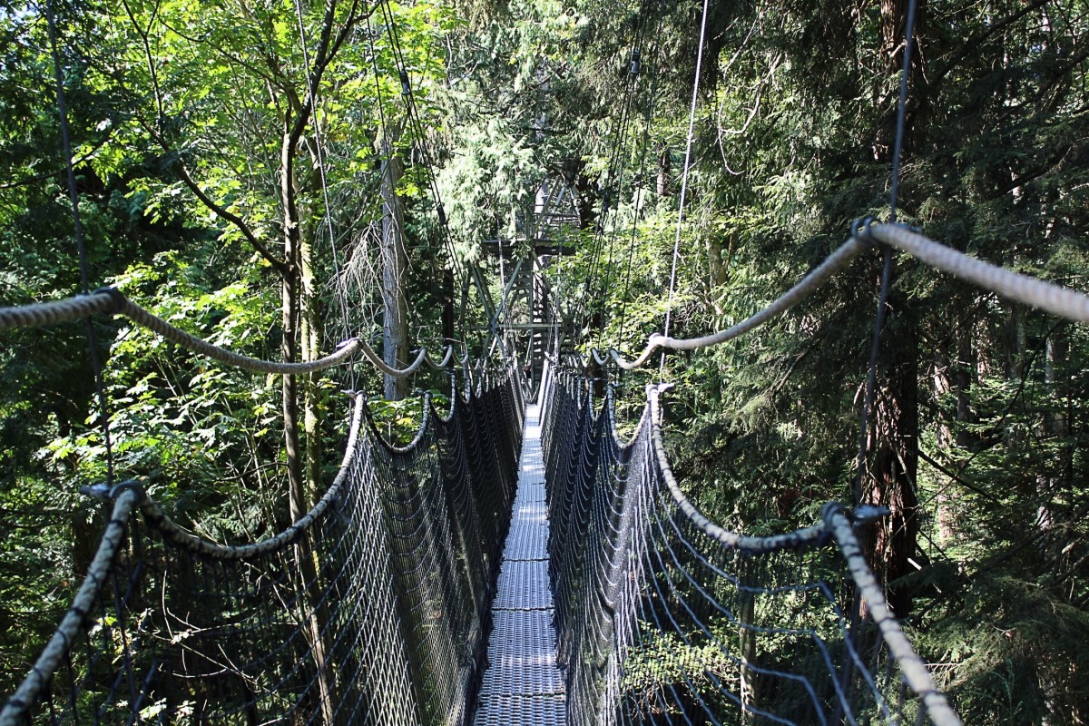 Exploring the Lovely UBC Botanical Garden in Vancouver - HubPages