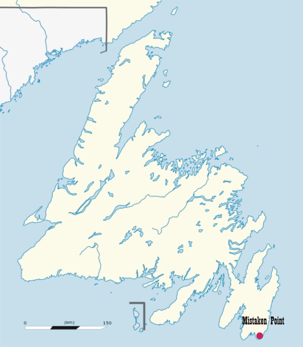 Map of the point