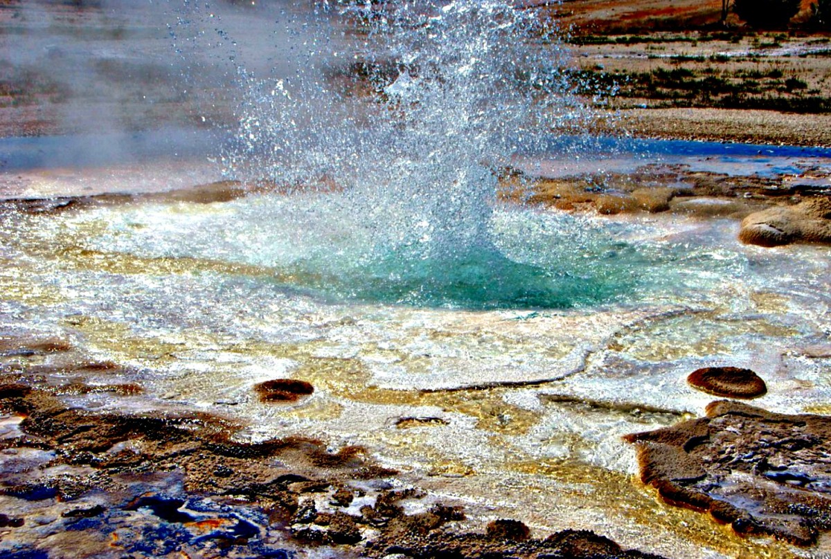 Many people have been injured in Yellowstone National Park because they fell into geiser pools.