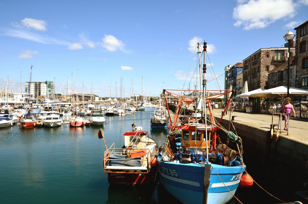 Fish and in Plymouth, Devon