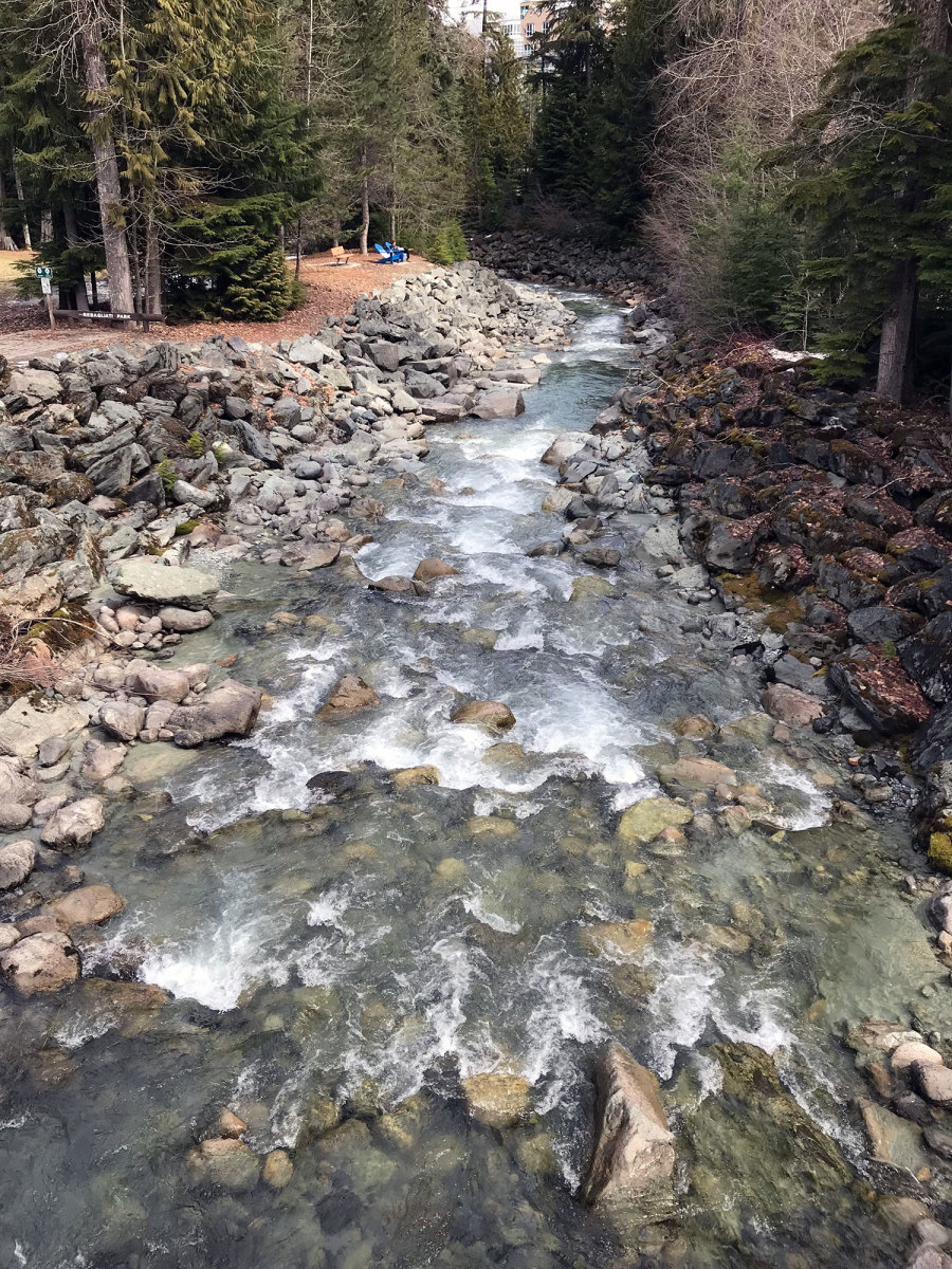 Creeks and riverbeds are aplenty in Whistler, BC. 