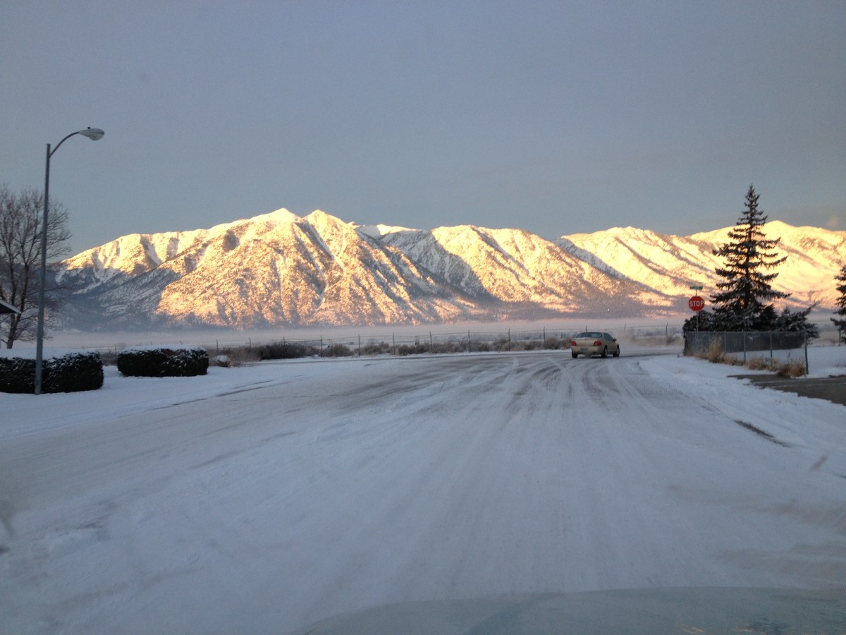 Sharkey s casino gardnerville nevada