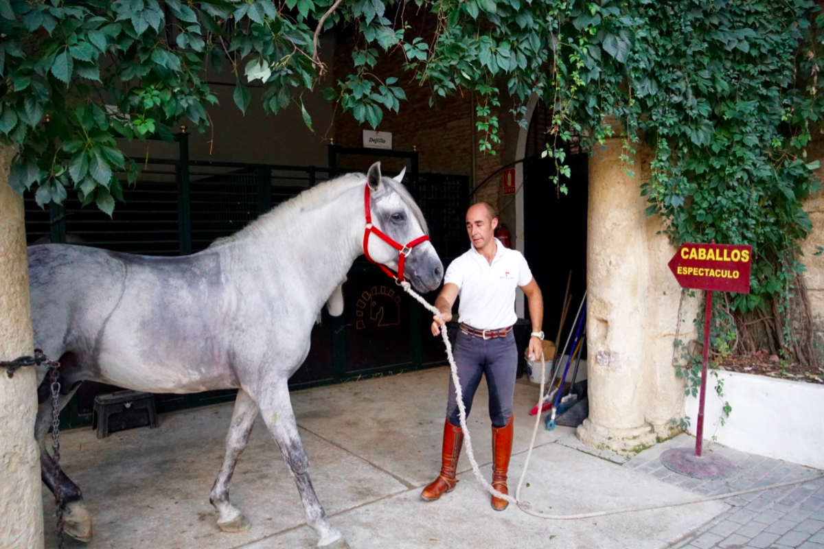 visiting-the-royal-stables-and-andalusian-horses-of-crdoba