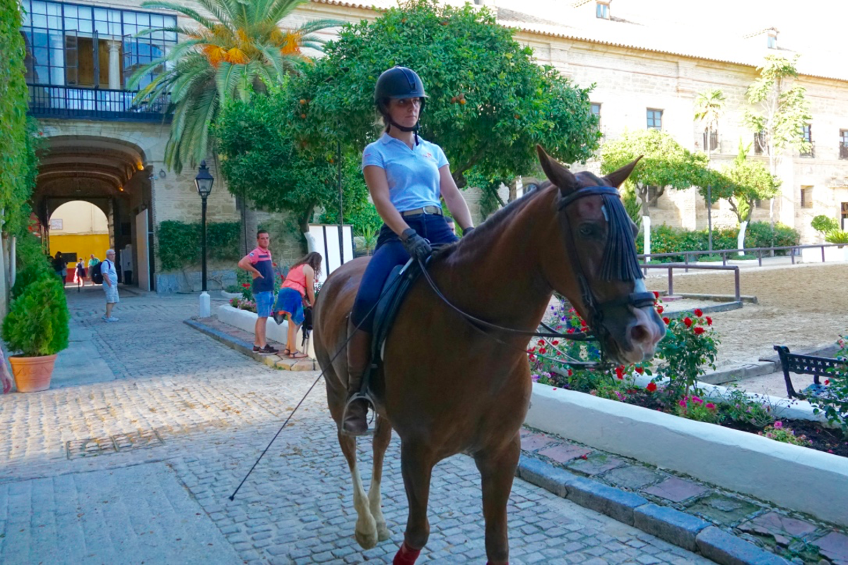 visiting-the-royal-stables-and-andalusian-horses-of-crdoba