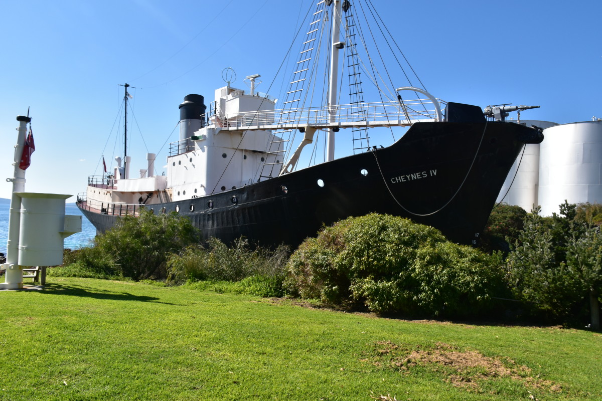 From Whaling to Whale Watching: Albany, Western Australia - WanderWisdom