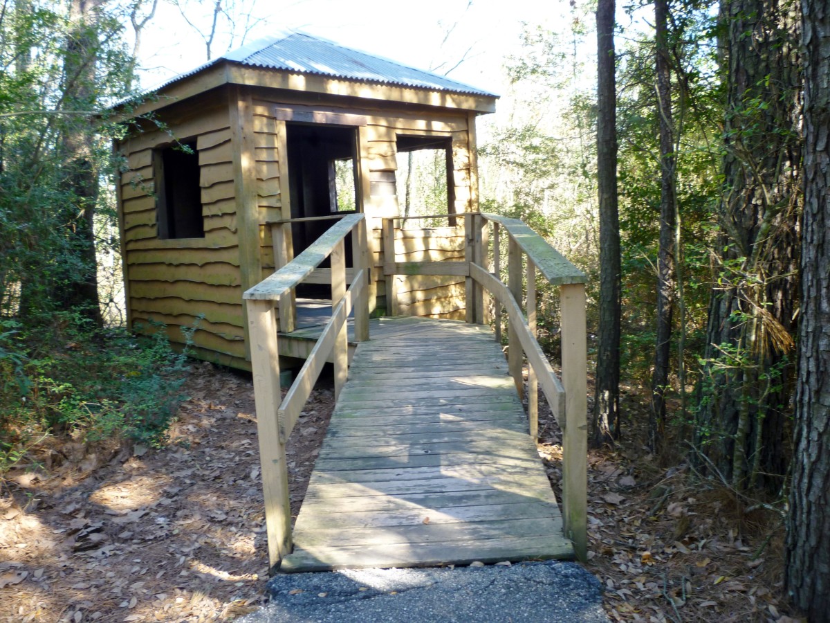 An observation viewing platform built next to the pond in Theis Attaway Park
