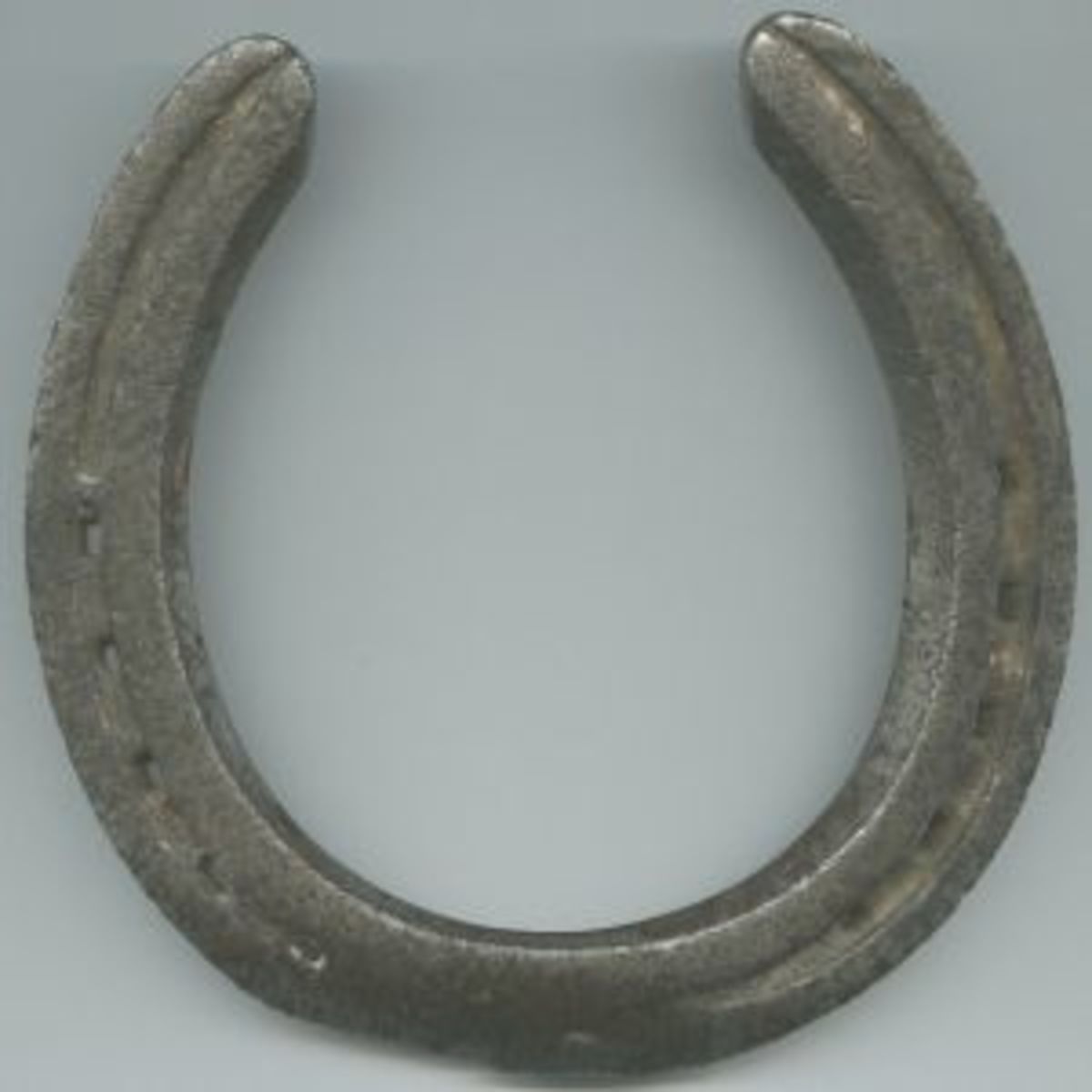 Horseshoe prosperity symbol