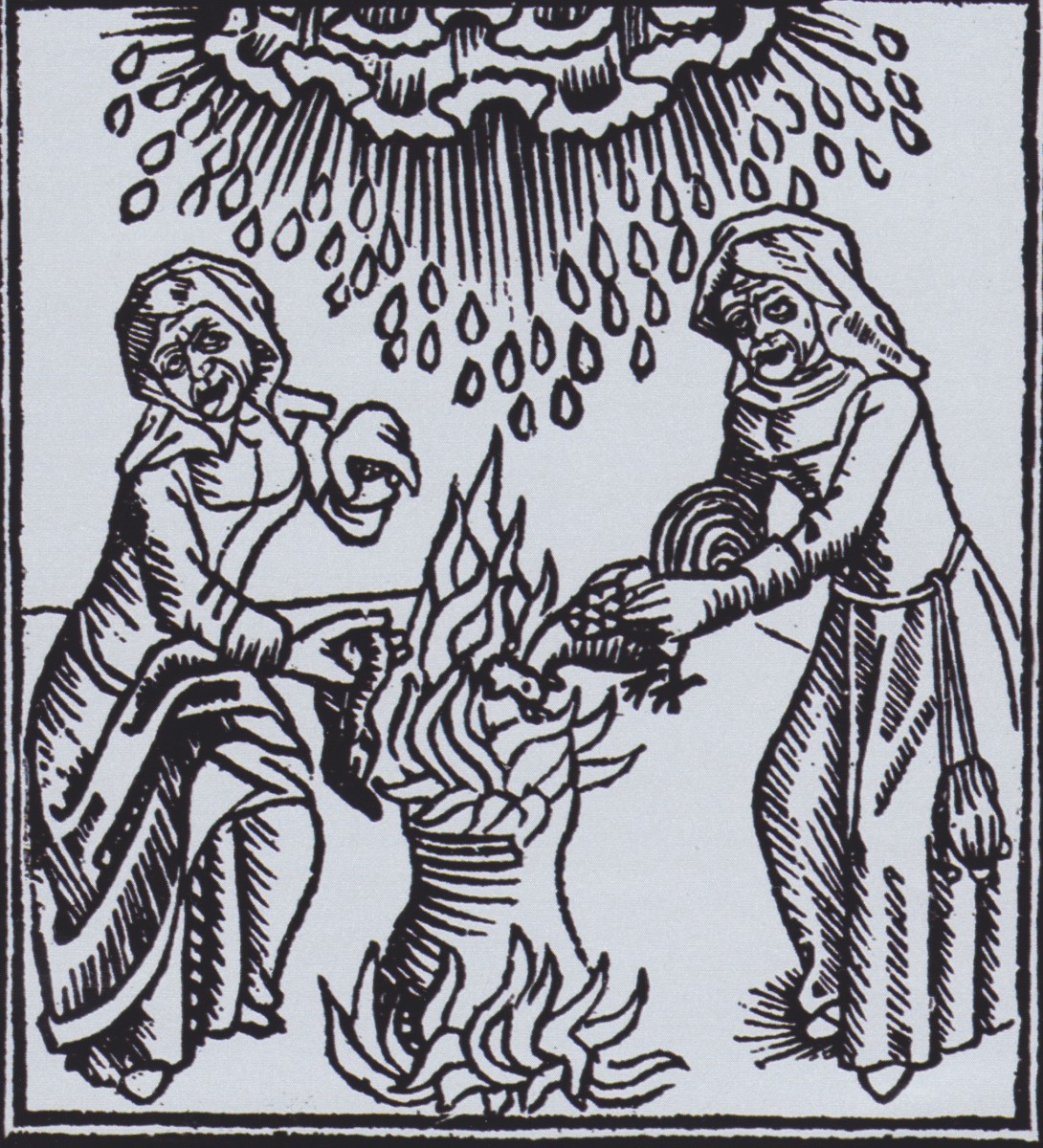 Malifecium and Witchcraft: How Being a Witch and Magic Was Viewed in ...