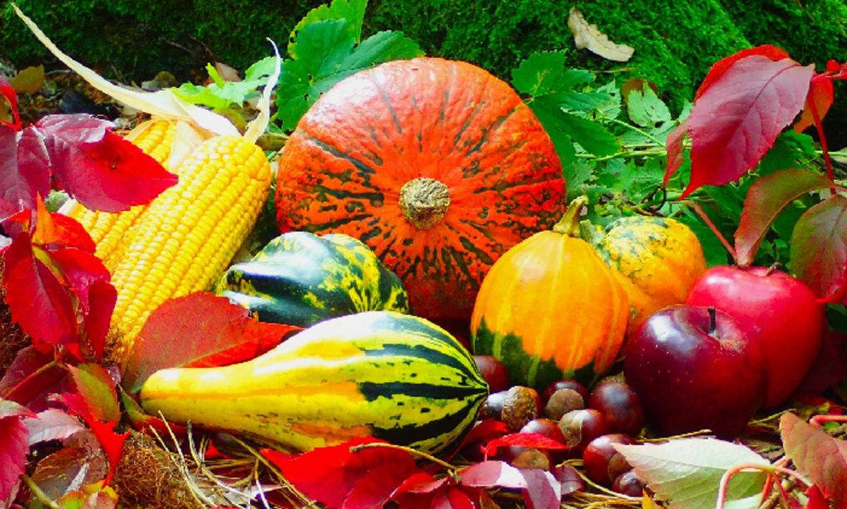Fall vegetables mark the arrival of the harvest season.