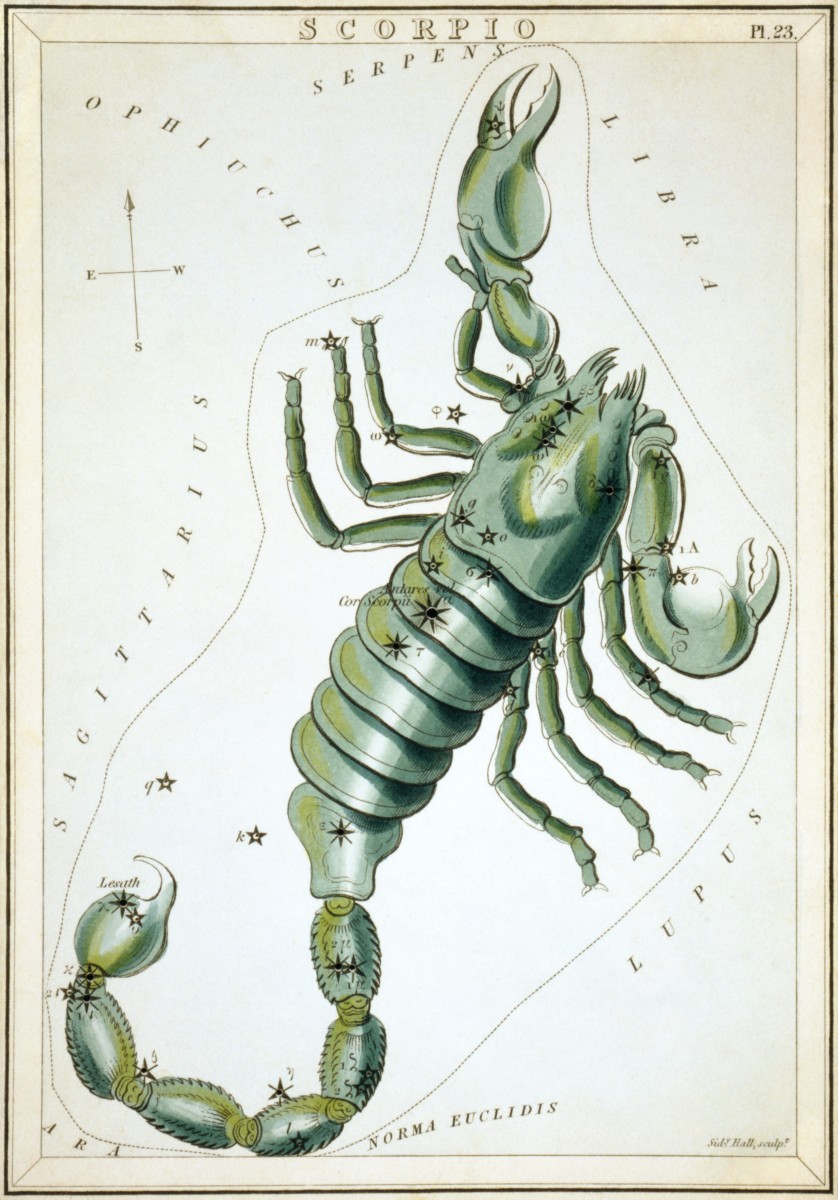 The Scorpius Constellation