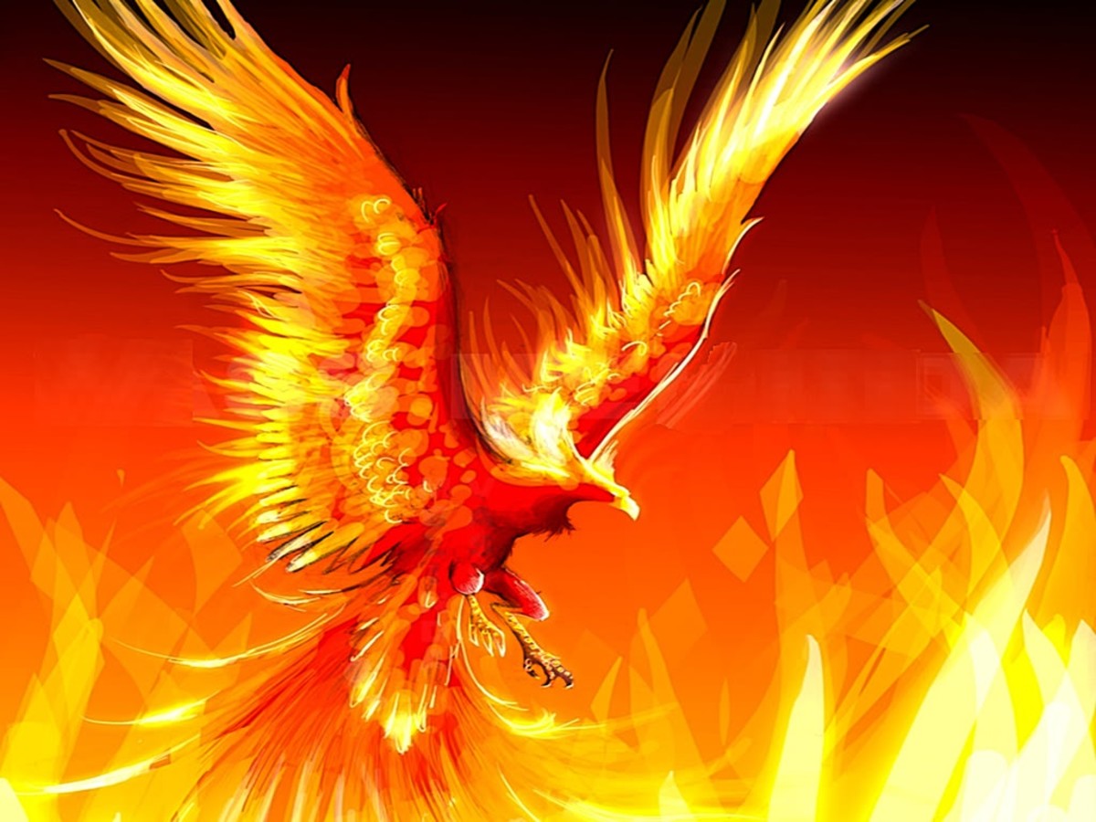 Scorpio spirit animal phoenix