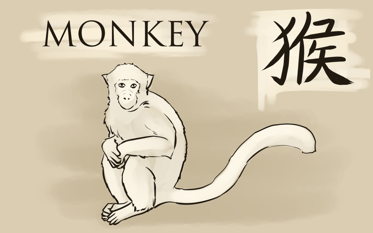 顽皮又迷人的人，和属猴的人在一起通常很有趣。