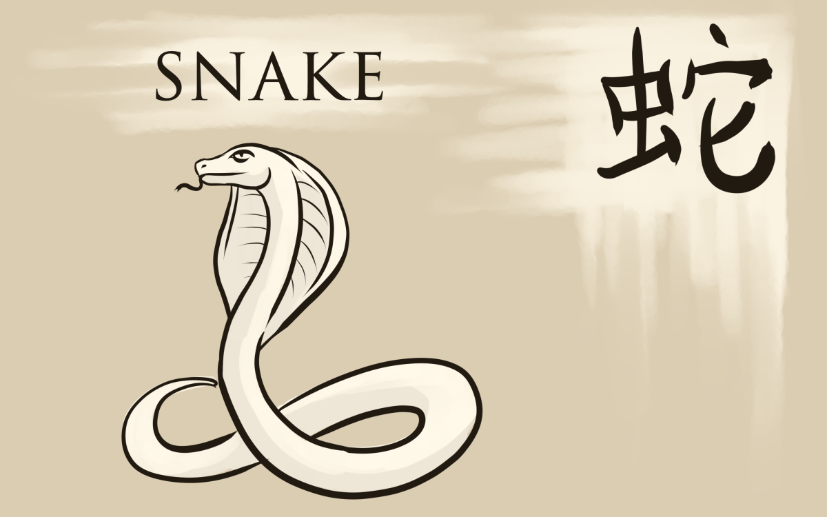 The Snake is an enigmatic sign with a quiet presence, but a deep mind.