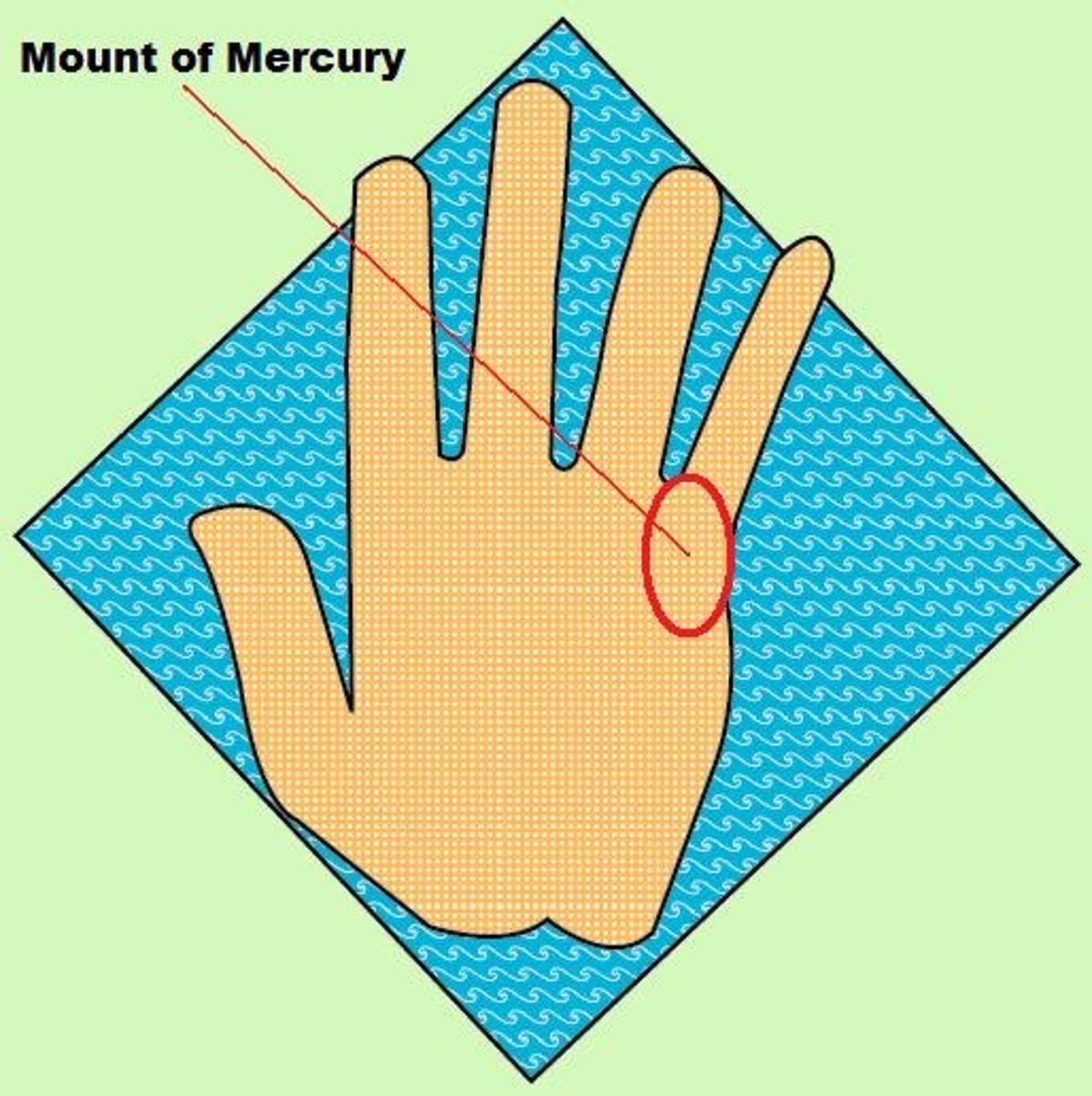 Significance and Meanings of Mounts in Palmistry Exemplore