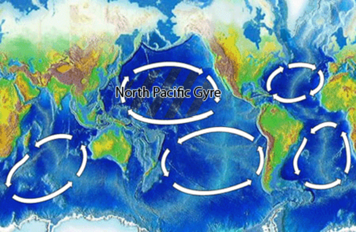 All five garbage patches are circled here. You can see, by how much of the ocean they take up, what a serious problem plastic sludge is for plankton growth and the food chain.