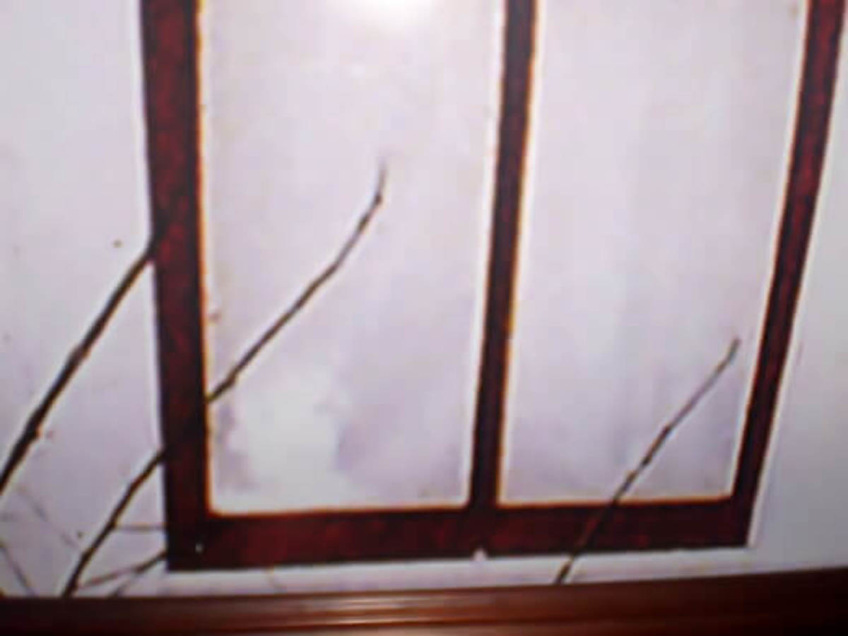 《博伊德之魂》或《保罗·摩尔》(左下角窗口角落)。图片分享在谷仓板在维利斯卡斧头谋杀屋。Rephotographed。
